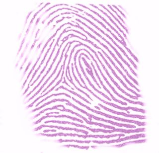 Ninhydrin_staining_thumbprint